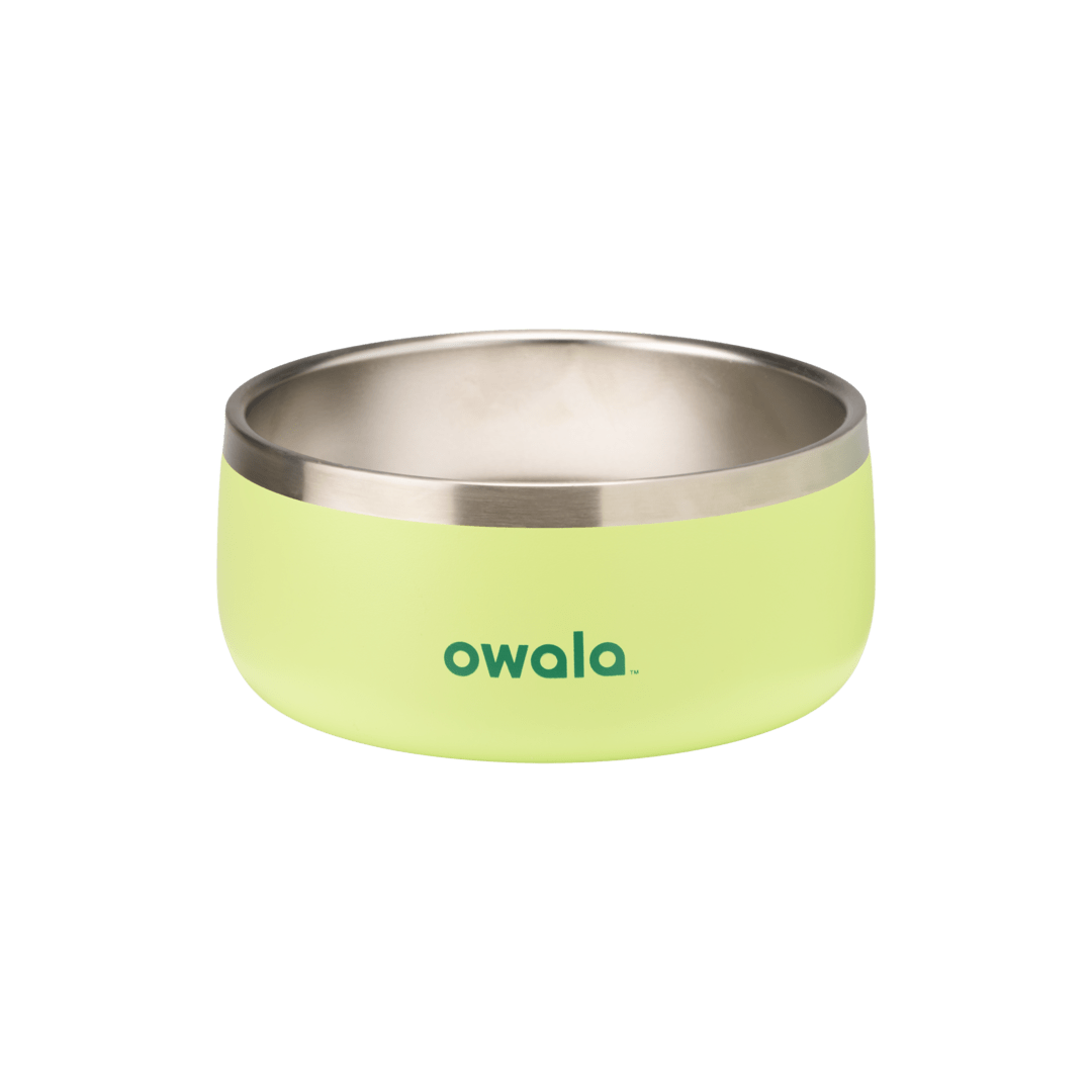 Pet Bowl GDRW