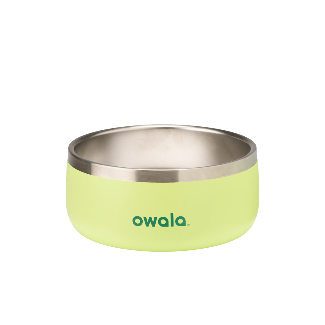 Pet Bowl GDRW