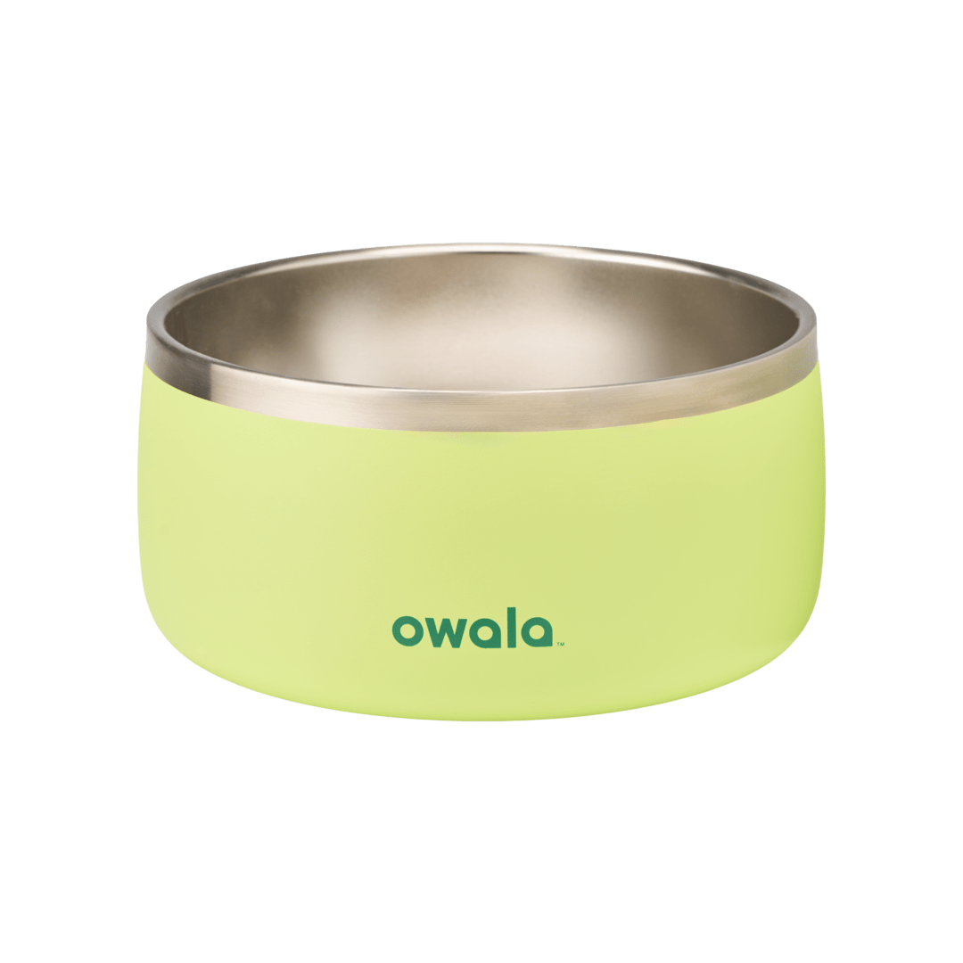 Pet Bowl GDRW