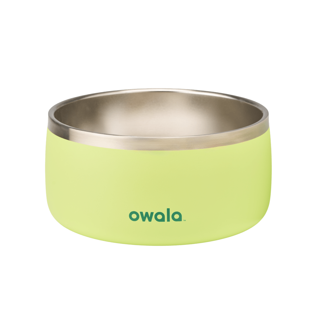 Pet Bowl GDRW