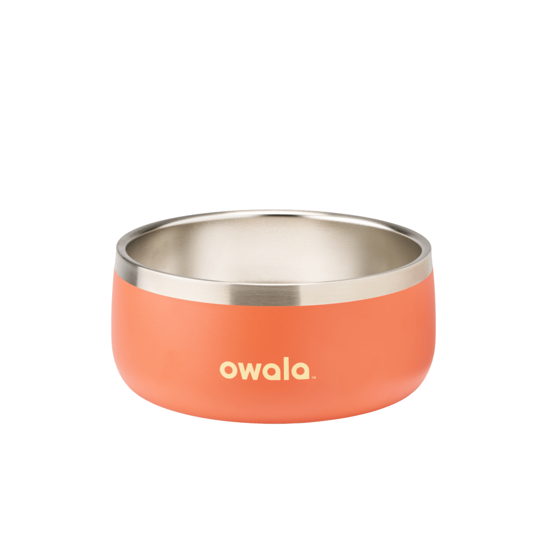 Pet Bowl GDRW