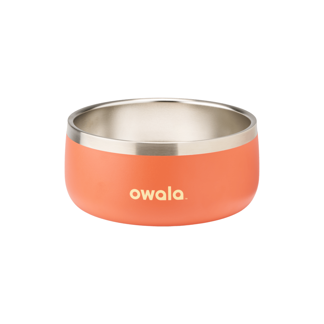 Pet Bowl GDRW