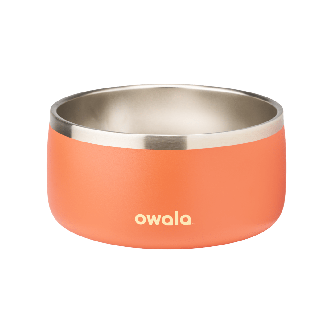 Pet Bowl GDRW