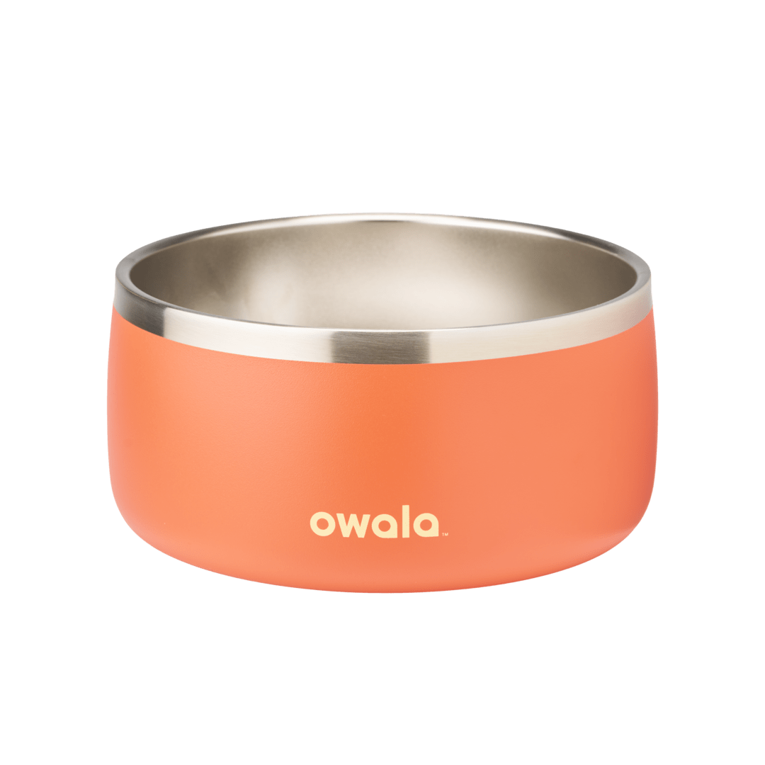 Pet Bowl GDRW