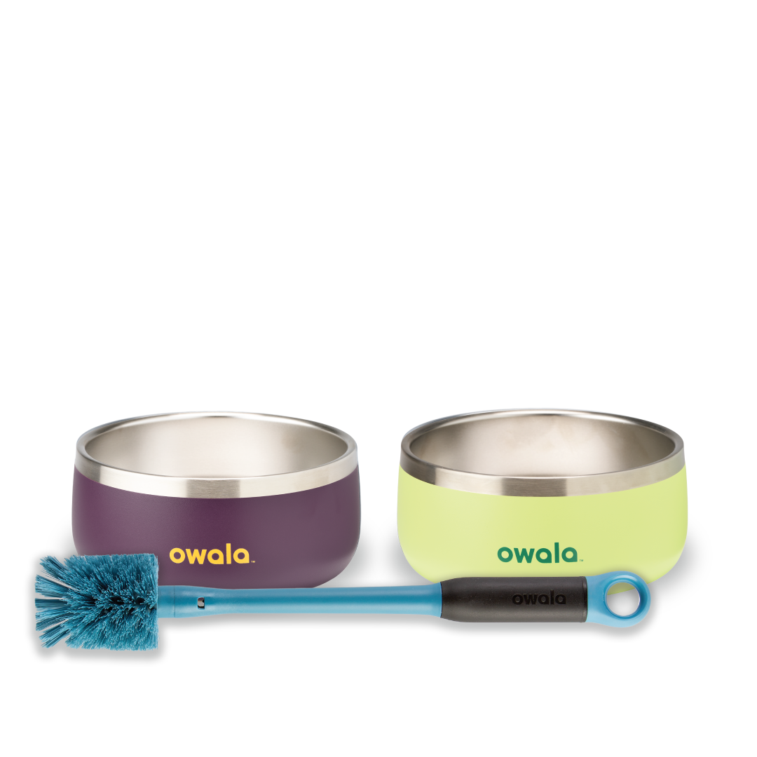 Pet Bowl GDRW