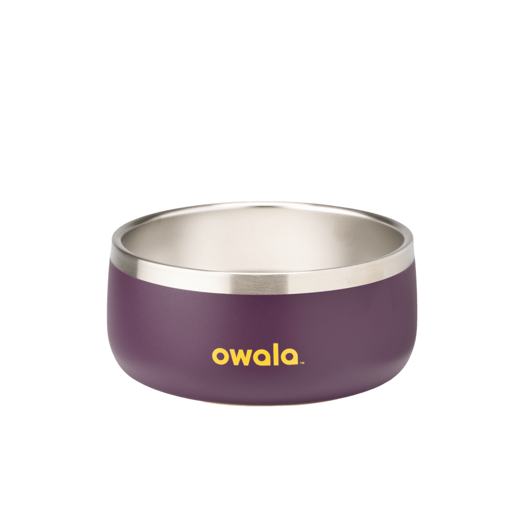Pet Bowl GDRW