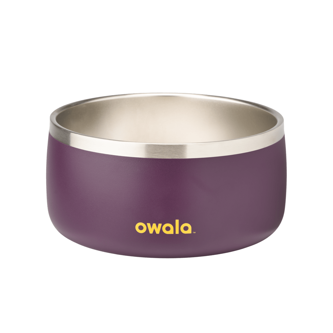 Pet Bowl GDRW