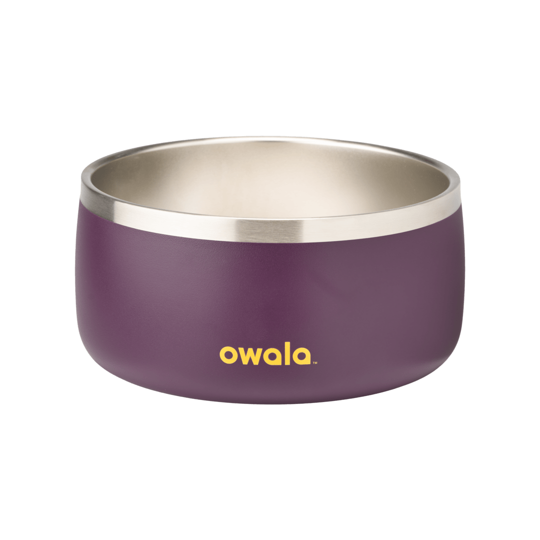 Pet Bowl GDRW