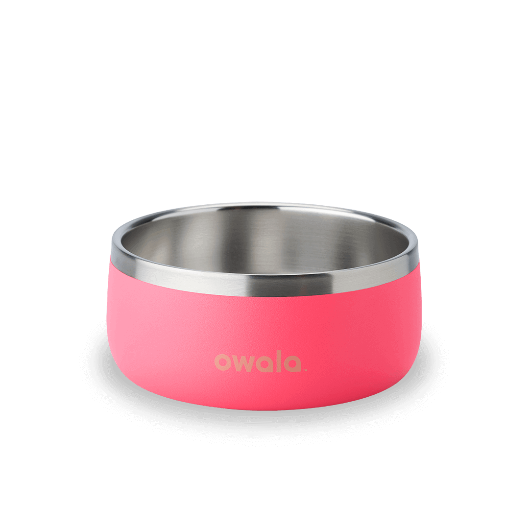 Pet Bowl GDRW