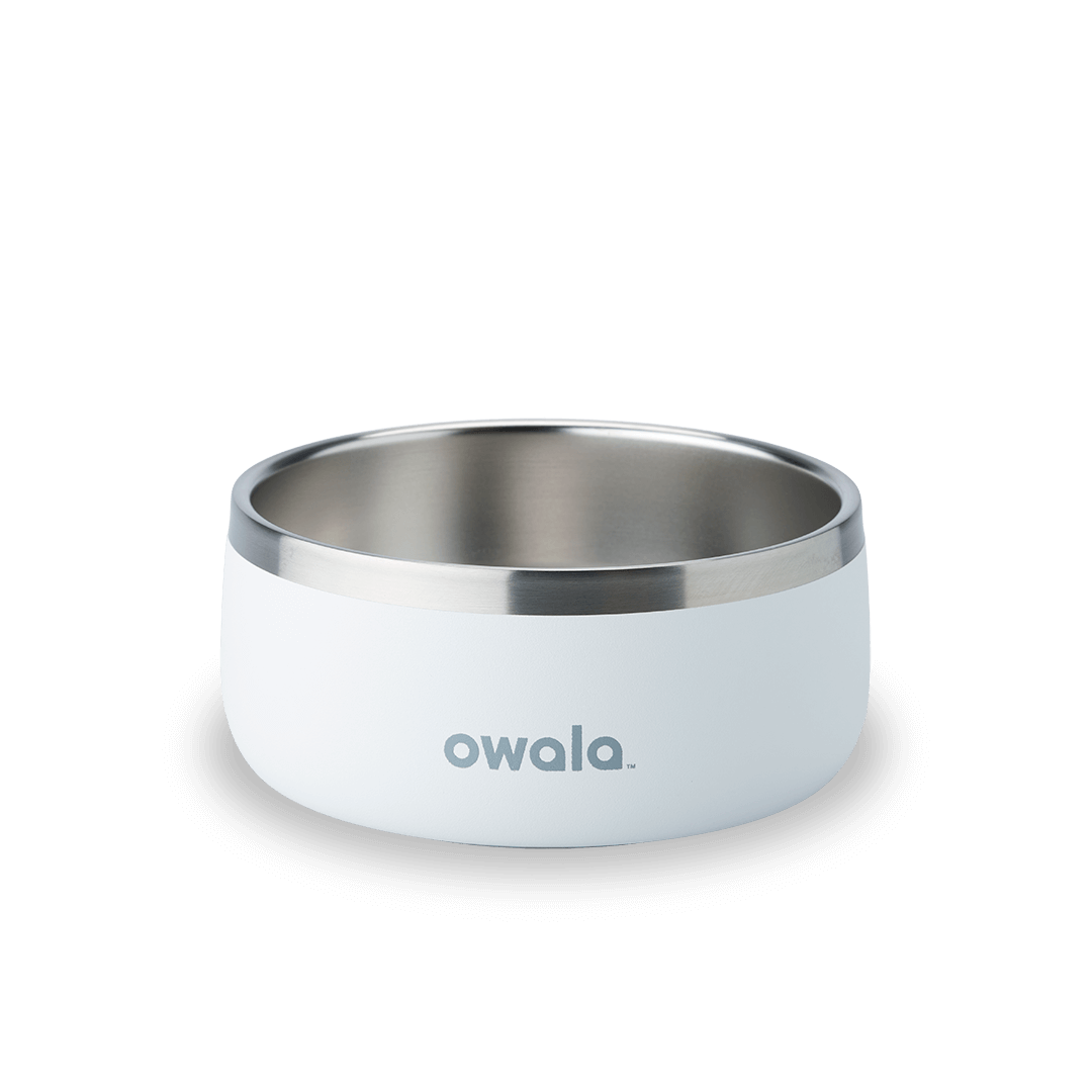 Pet Bowl GDRW