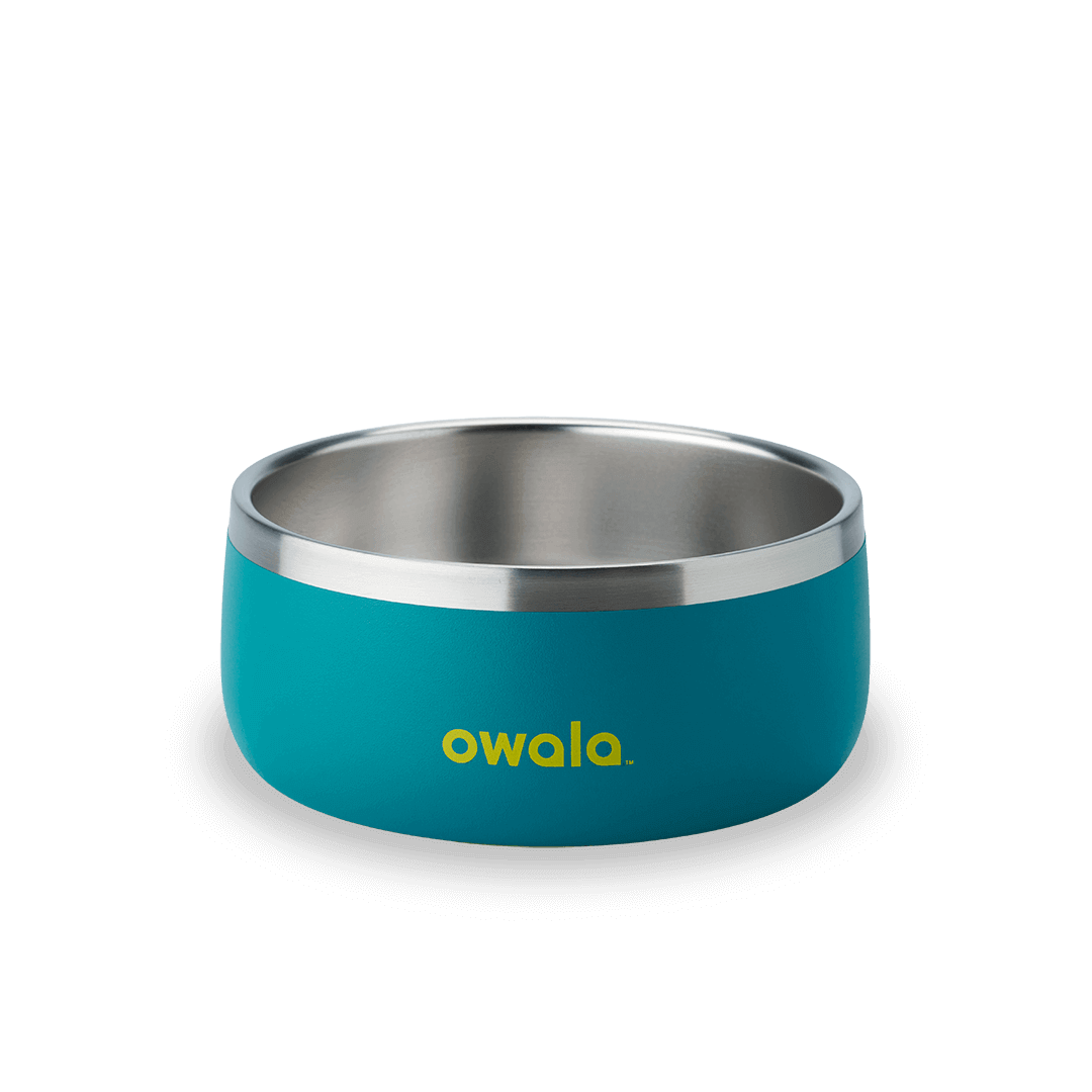 Pet Bowl GDRW