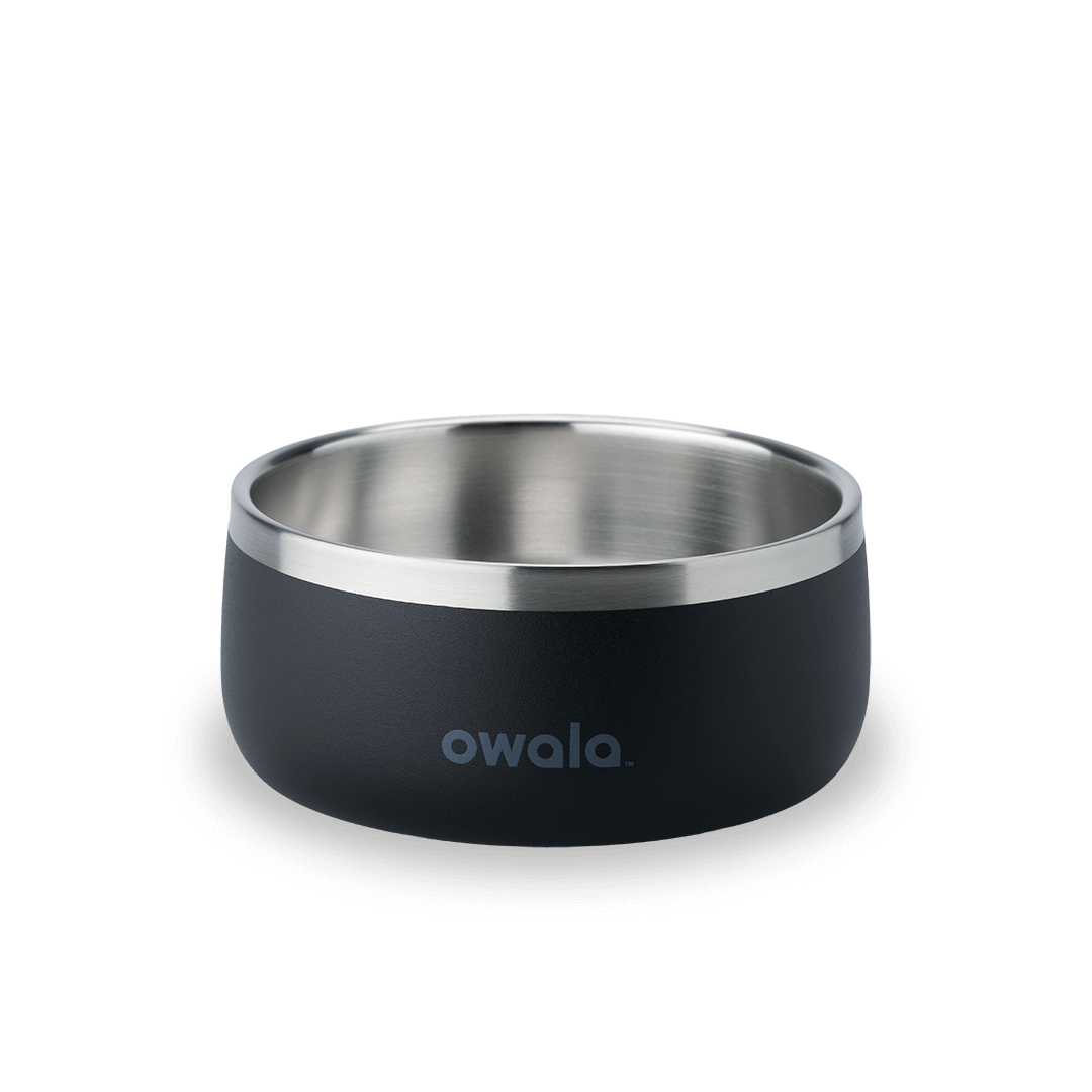 Pet Bowl GDRW