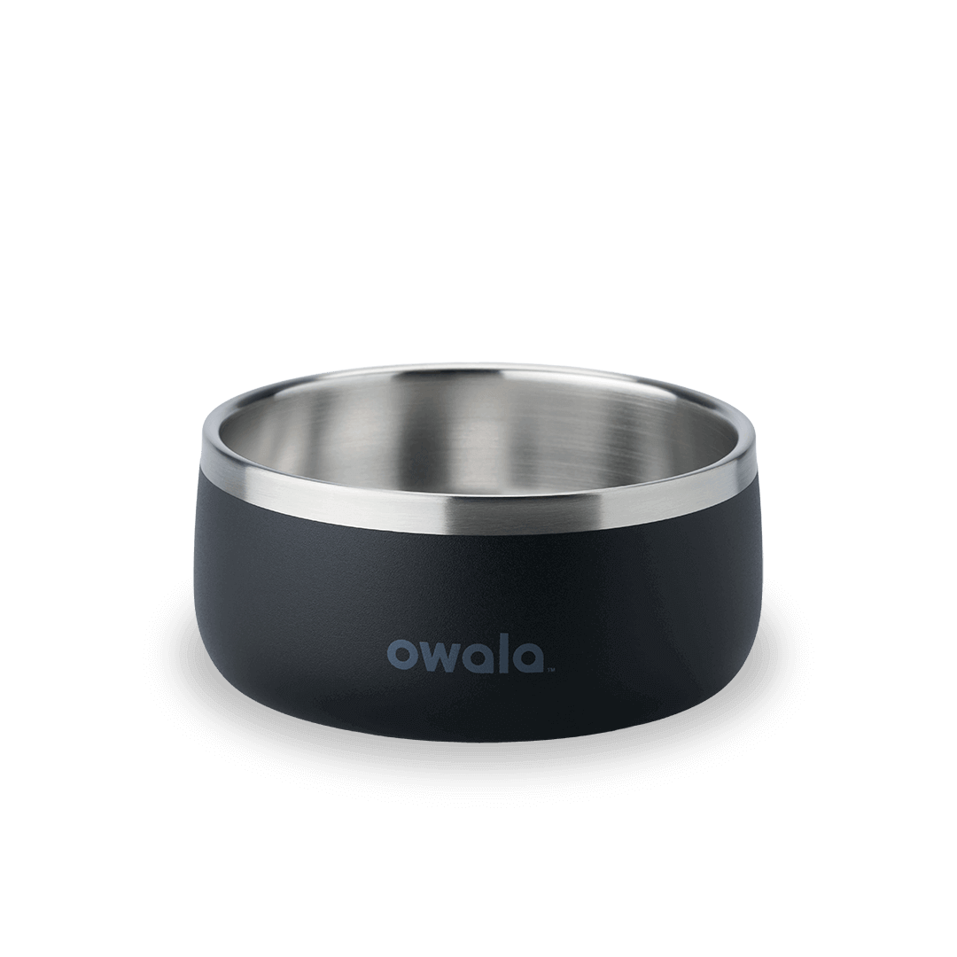 Pet Bowl GDRW