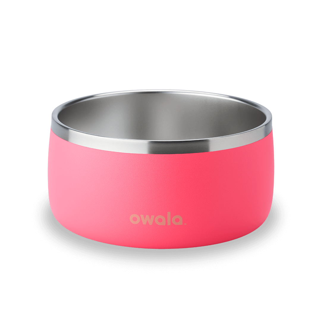 Pet Bowl GDRW