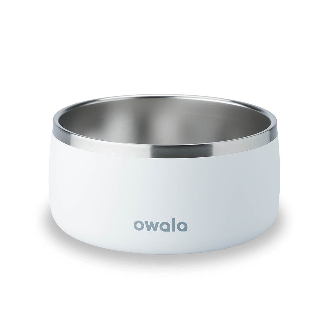 Pet Bowl GDRW