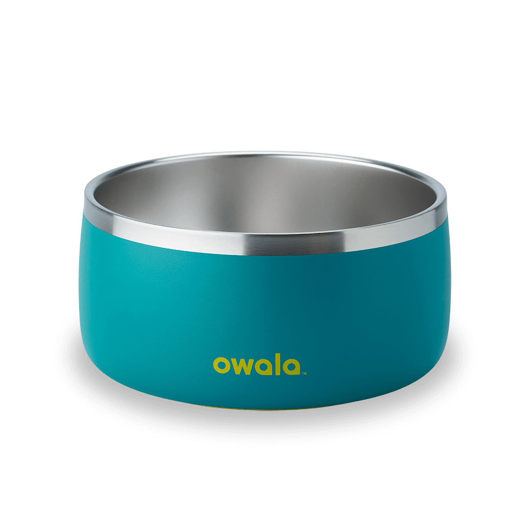 Pet Bowl GDRW