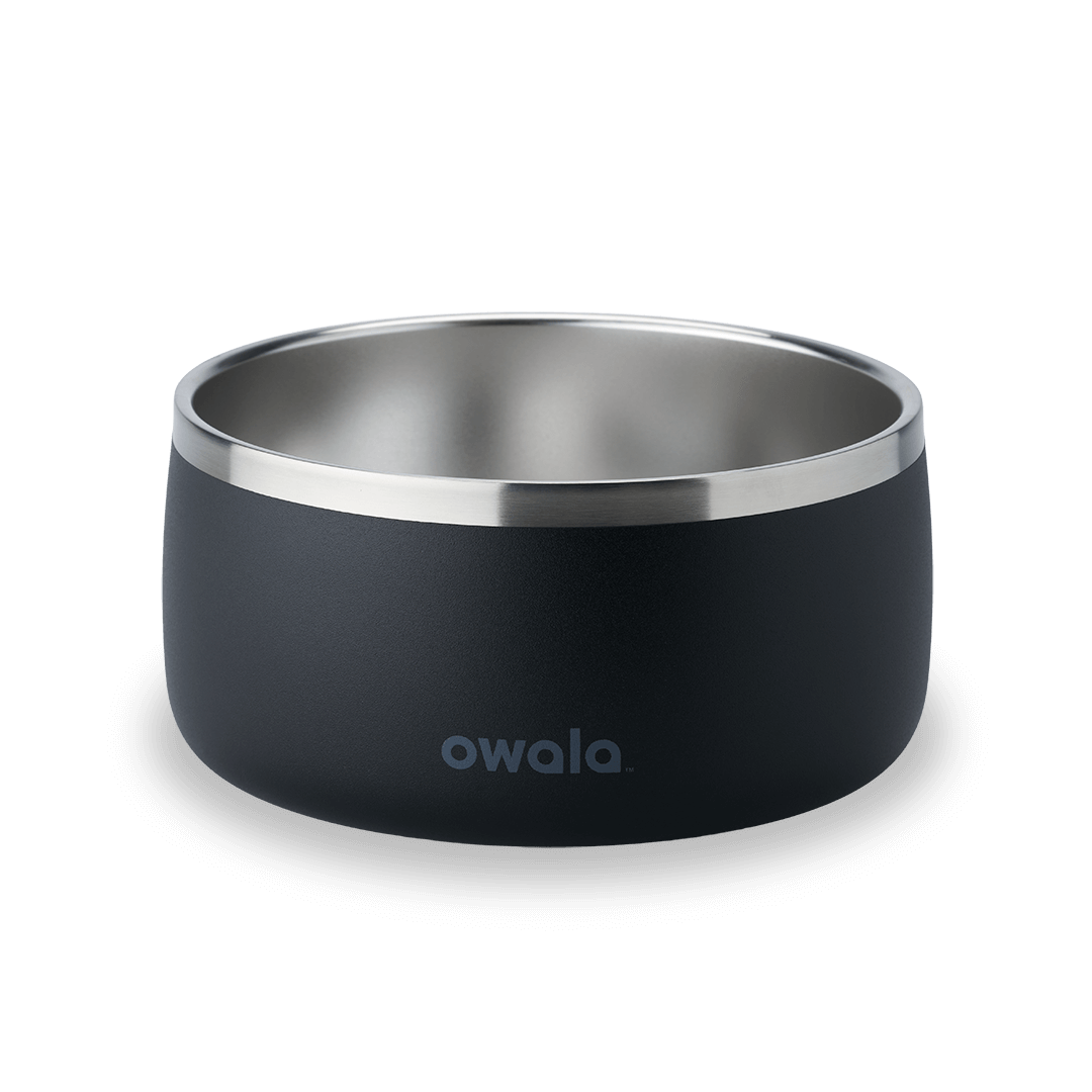Pet Bowl GDRW