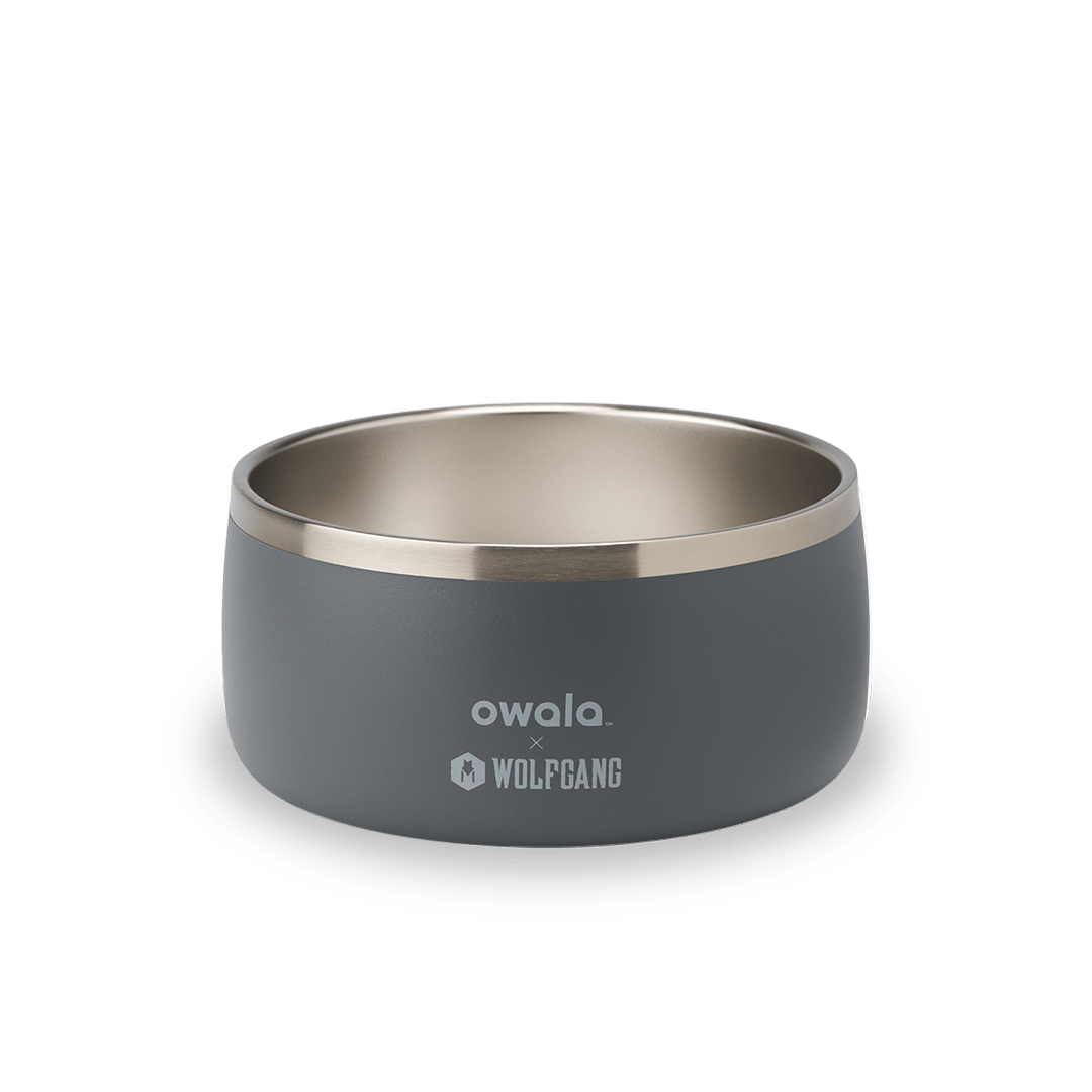 Pet Bowl GDRW